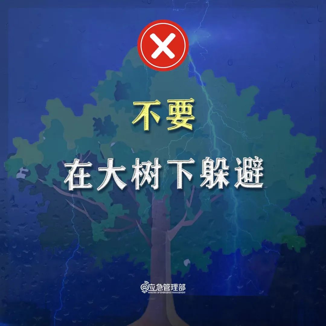 皇冠足球投注网址