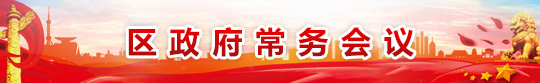 区政府常务会议